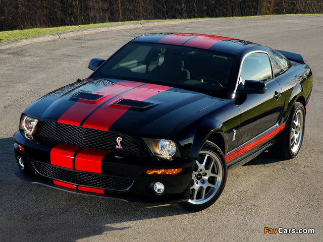 Shelby GT500 Red Stripe Appearance Package 2007 images (640 x 480)
