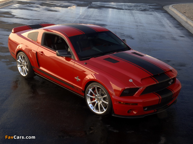 Shelby GT500 Super Snake 2008–10 pictures (640 x 480)