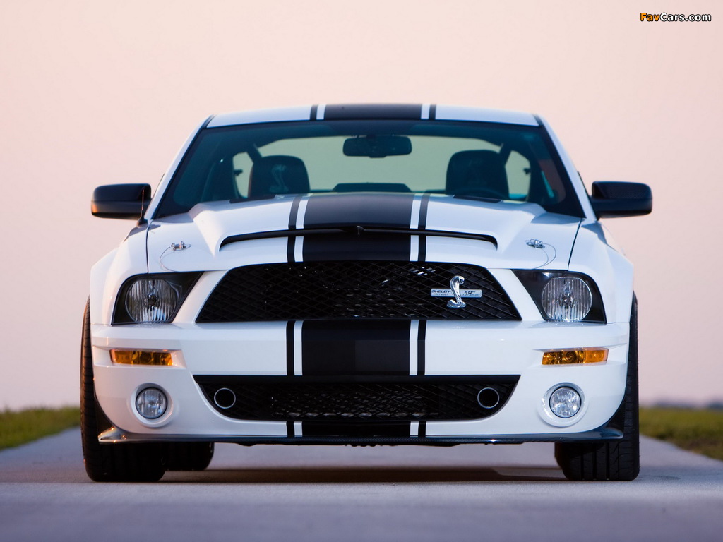 Shelby GT500 Super Snake 2008–10 wallpapers (1024 x 768)