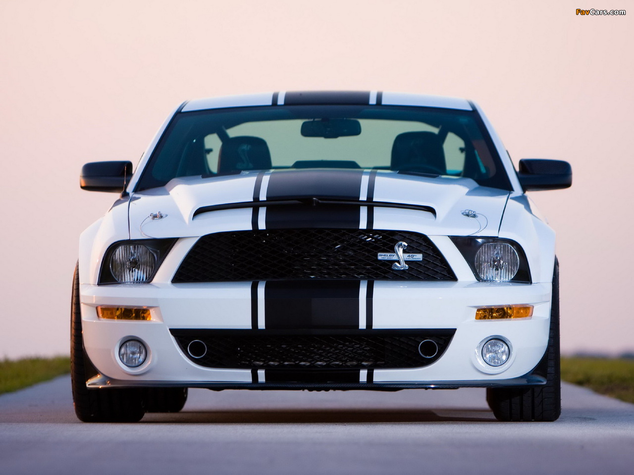 Shelby GT500 Super Snake 2008–10 wallpapers (1280 x 960)