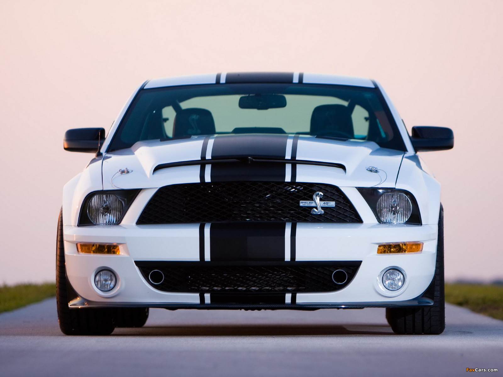 Shelby GT500 Super Snake 2008–10 wallpapers (1600 x 1200)