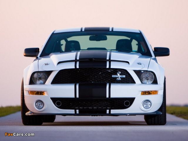 Shelby GT500 Super Snake 2008–10 wallpapers (640 x 480)