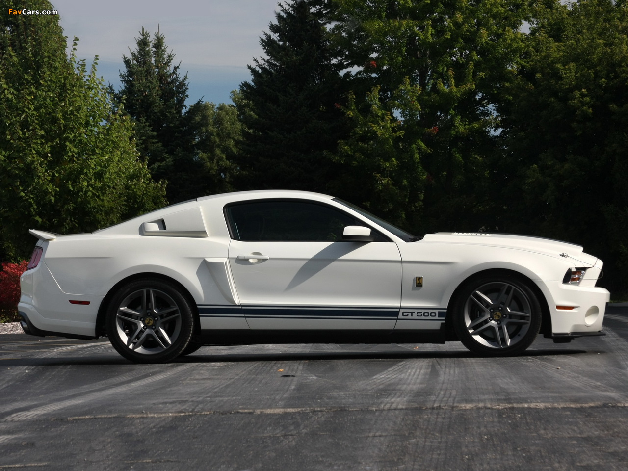 Shelby GT500 Patriot Edition 2009 images (1280 x 960)