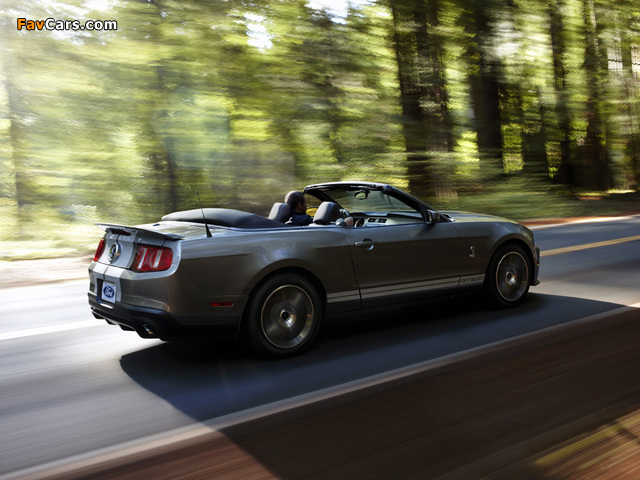 Shelby GT500 Convertible SVT 2009–10 images (640 x 480)