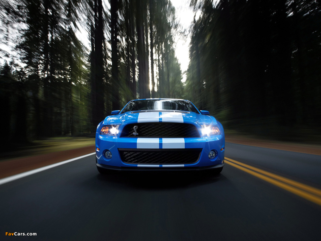 Shelby GT500 2009–10 images (1024 x 768)