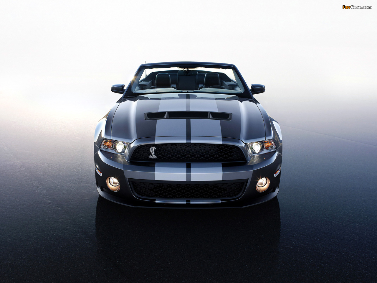 Shelby GT500 Convertible SVT 2009–10 wallpapers (1280 x 960)