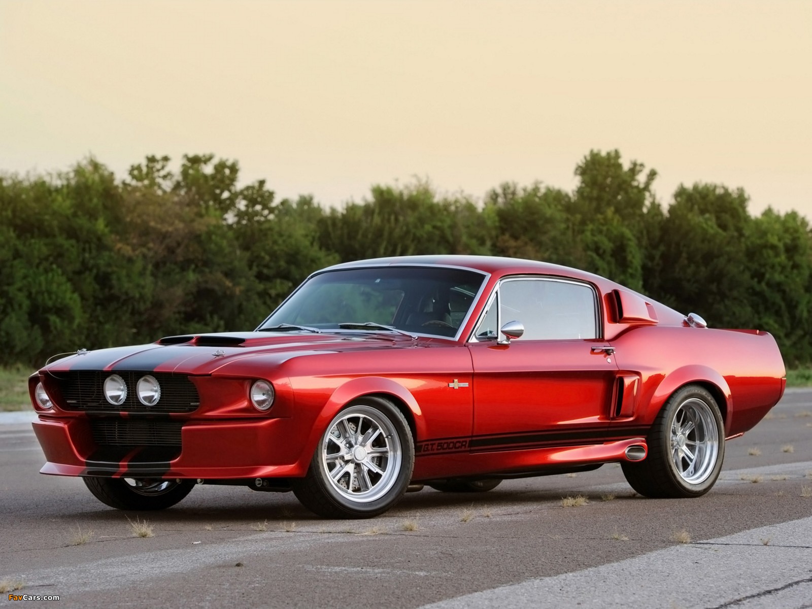 Classic Recreations Shelby GT500CR 2010 images (1600 x 1200)