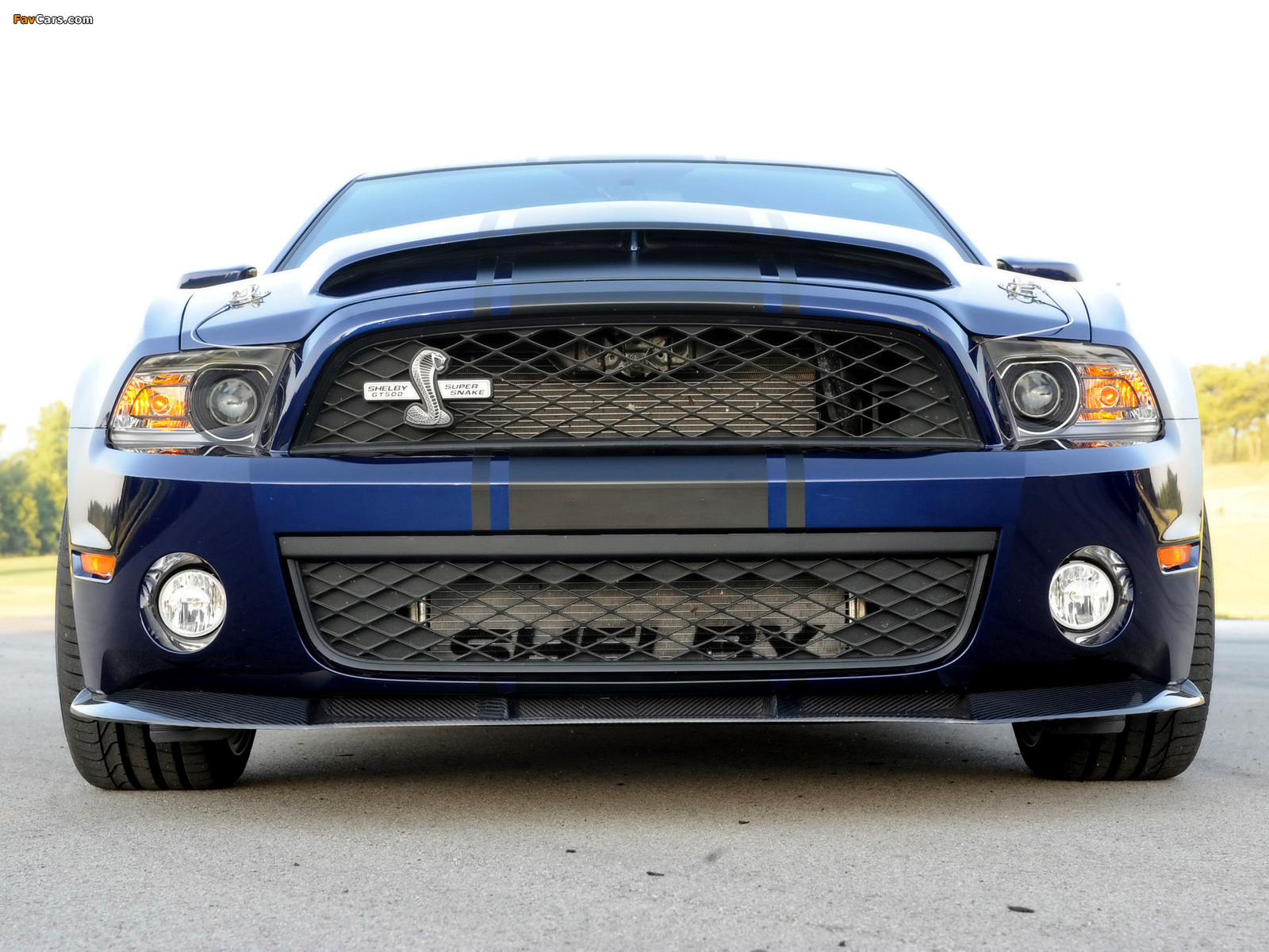 Shelby GT500 Super Snake 2010–11 pictures (1600 x 1200)