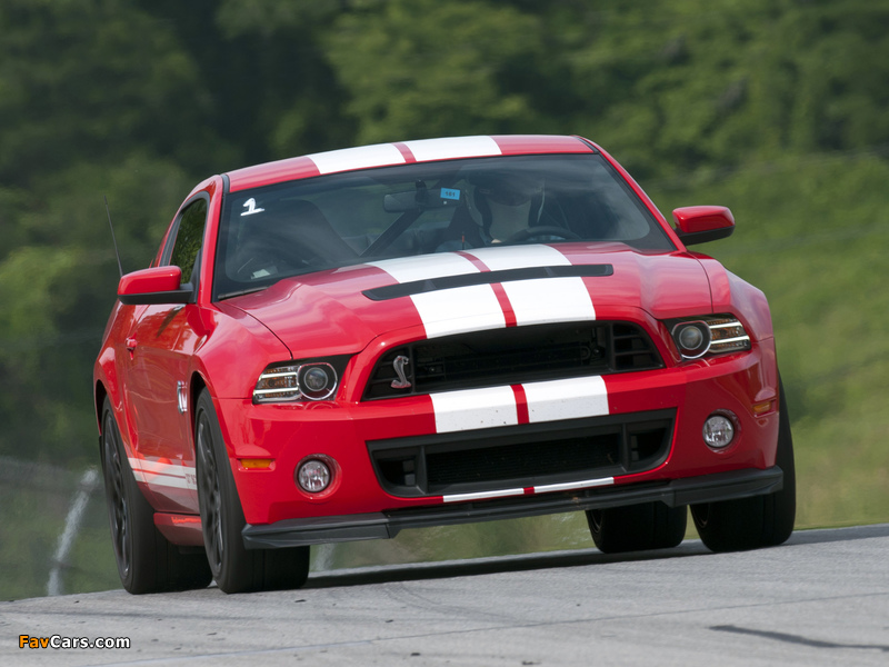 Shelby GT500 SVT 2012 images (800 x 600)