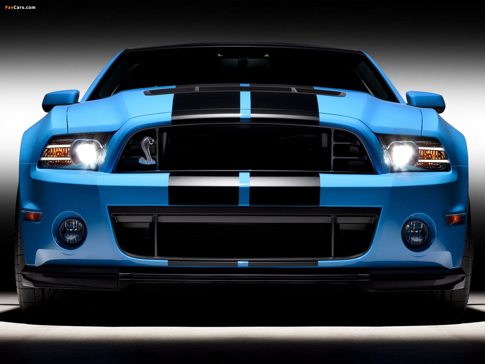 Shelby GT500 SVT 2012 images (1600 x 1200)