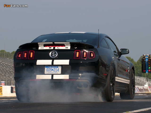 Shelby GT500 SVT 2012 photos (640 x 480)