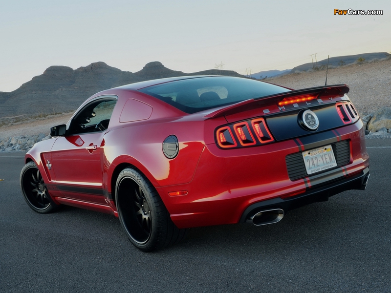 Shelby GT500 Super Snake Wide Body 2013–14 photos (800 x 600)