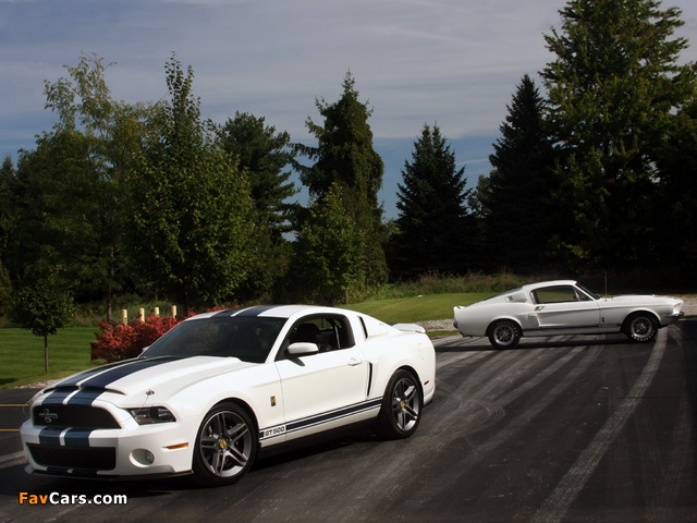 Shelby GT500 images (640 x 480)
