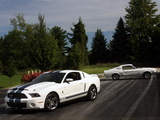 Shelby GT500 images