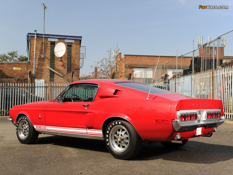 Shelby GT500 1968 wallpapers (800 x 600)