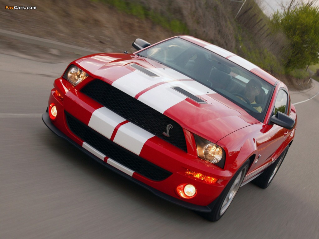 Shelby GT500 2005–08 wallpapers (1024 x 768)