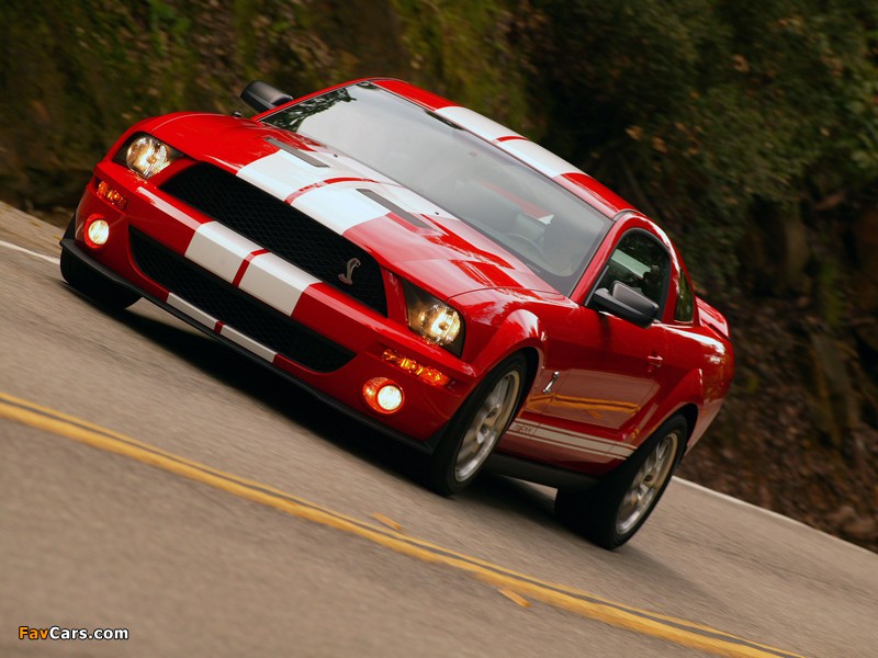 Shelby GT500 2005–08 wallpapers (800 x 600)