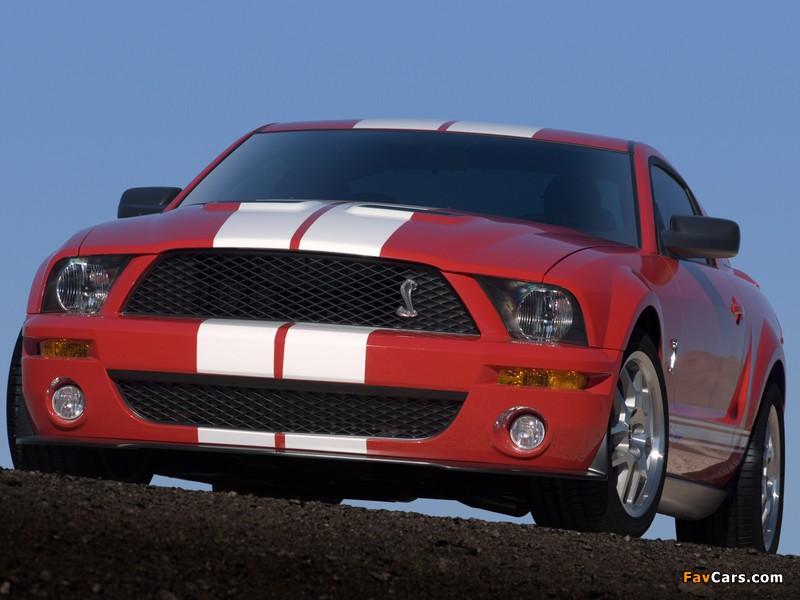 Shelby GT500 2005–08 wallpapers (800 x 600)