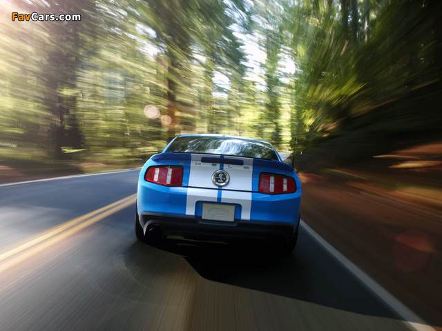 Shelby GT500 2009–10 wallpapers (640 x 480)