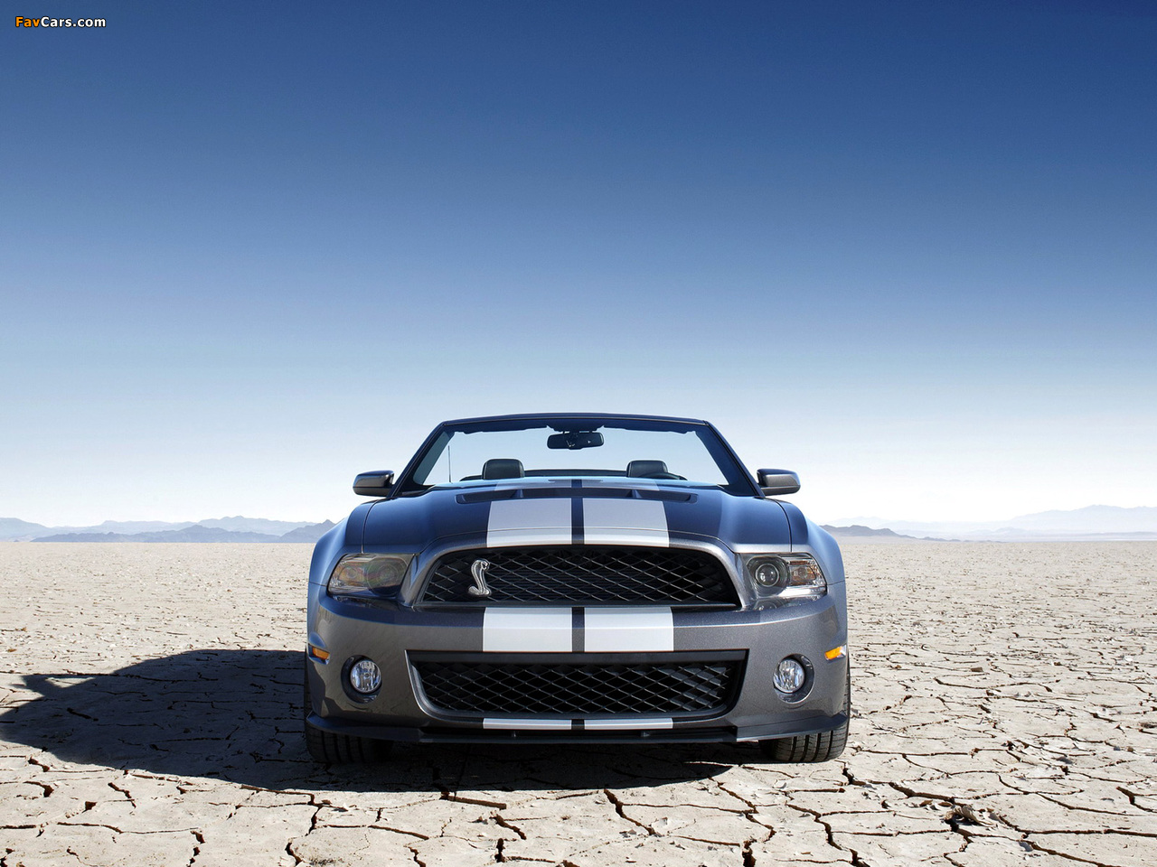 Shelby GT500 Convertible SVT 2009–10 wallpapers (1280 x 960)