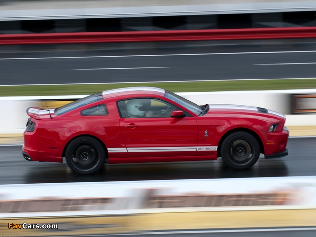 Shelby GT500 SVT 2012 wallpapers (640 x 480)