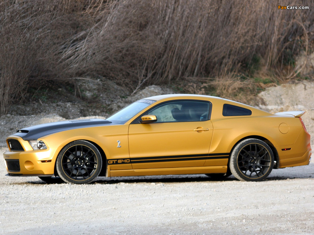 Geiger Shelby GT640 Golden Snake 2011 photos (1024 x 768)