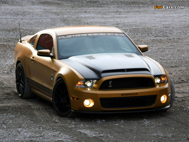 Geiger Shelby GT640 Golden Snake 2011 wallpapers (640 x 480)