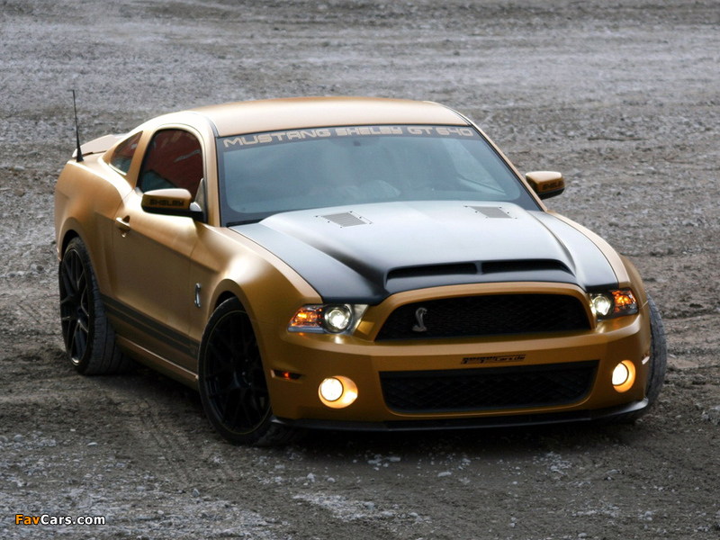 Geiger Shelby GT640 Golden Snake 2011 wallpapers (800 x 600)