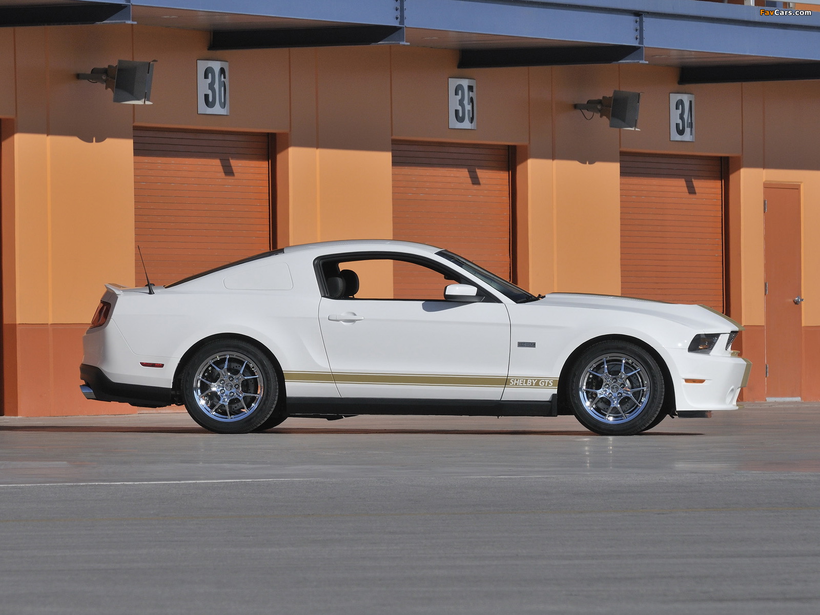 Images of Shelby GTS 50th Anniversary 2012 (1600 x 1200)