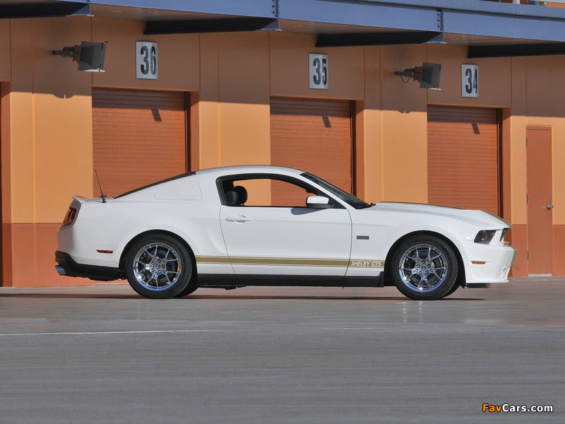 Images of Shelby GTS 50th Anniversary 2012 (800 x 600)
