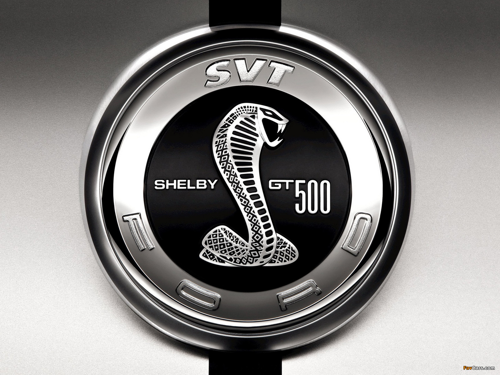 Shelby photos (1600 x 1200)
