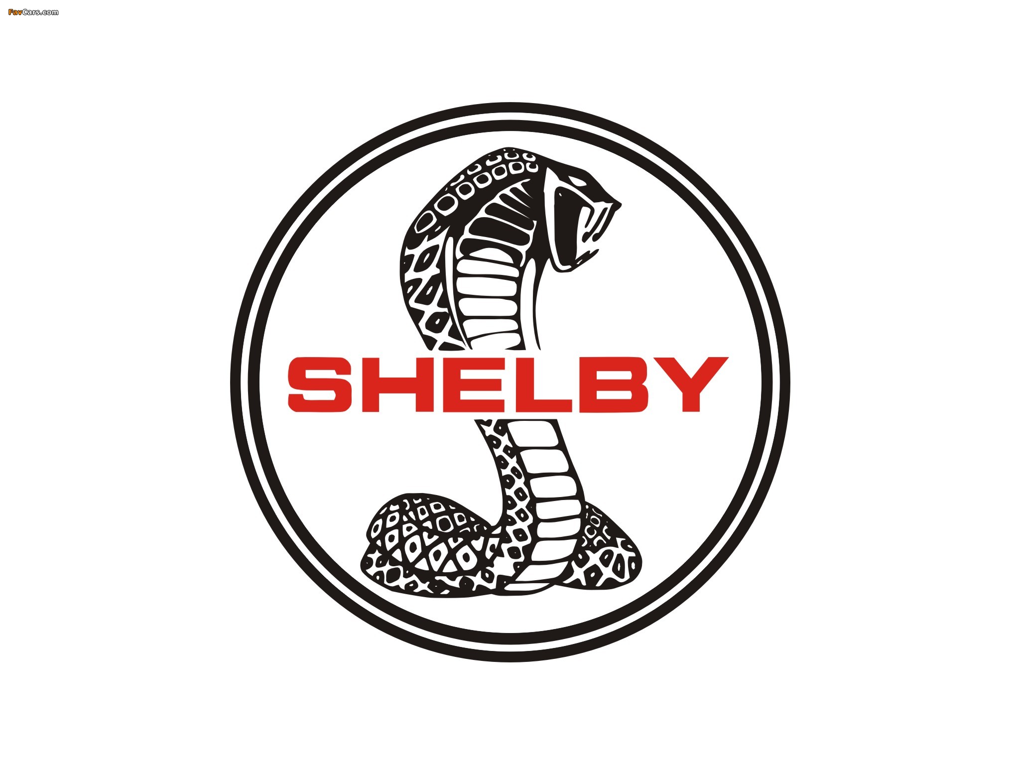 Shelby wallpapers (2048 x 1536)