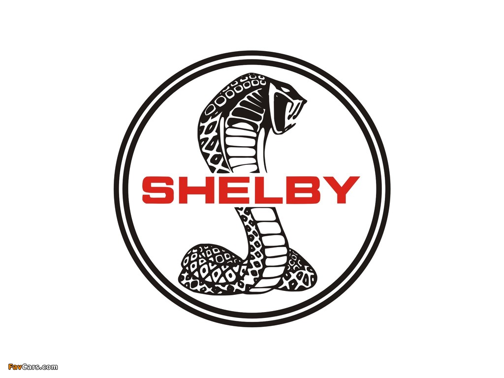 Shelby wallpapers (1024 x 768)