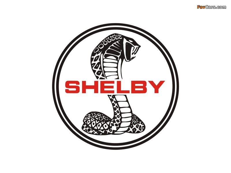 Shelby wallpapers (800 x 600)