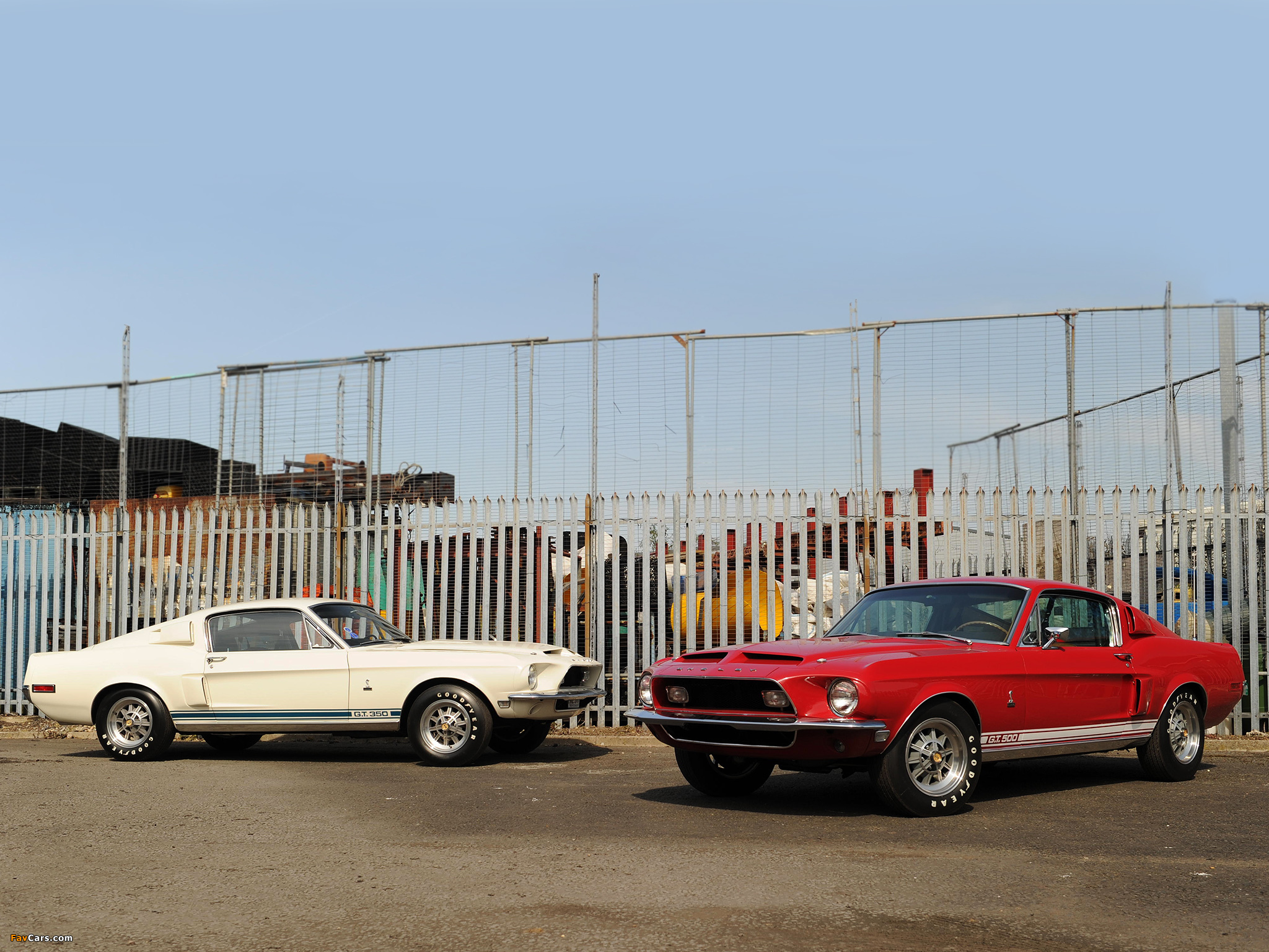 Photos of Shelby GT350 & GT500 1968 (2048 x 1536)