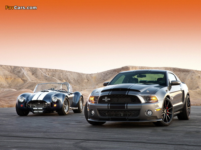 Pictures of Shelby (640 x 480)