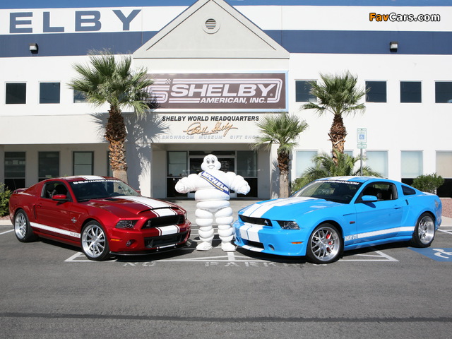 Shelby wallpapers (640 x 480)