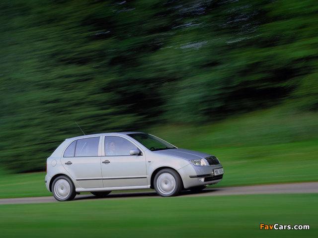 Images of Škoda Fabia 1999–2005 (640 x 480)