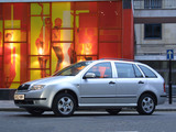 Pictures of Škoda Fabia Combi 2000–05