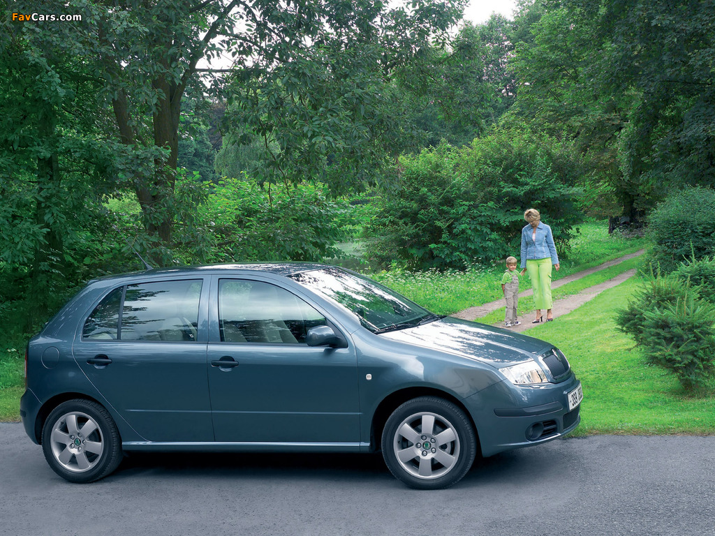 Pictures of Škoda Fabia (6Y) 2005–07 (1024 x 768)