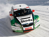 Pictures of Škoda Fabia Trophée Andros (5J) 2010