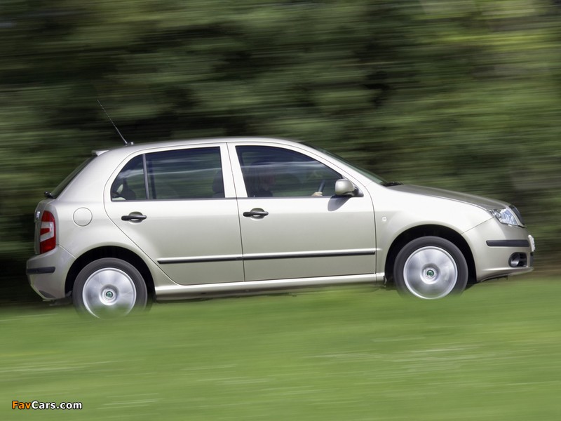 Škoda Fabia 2005–07 pictures (800 x 600)