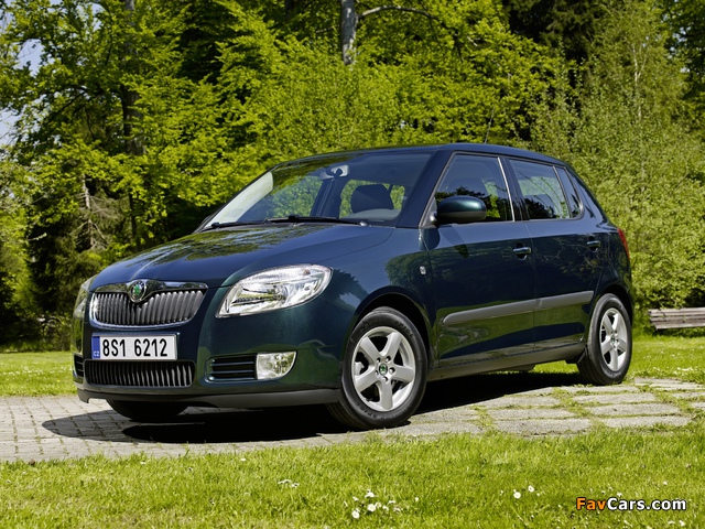 Škoda Fabia GreenLine (5J) 2008–10 pictures (640 x 480)