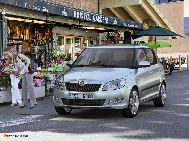 Škoda Fabia (5J) 2010 images (800 x 600)