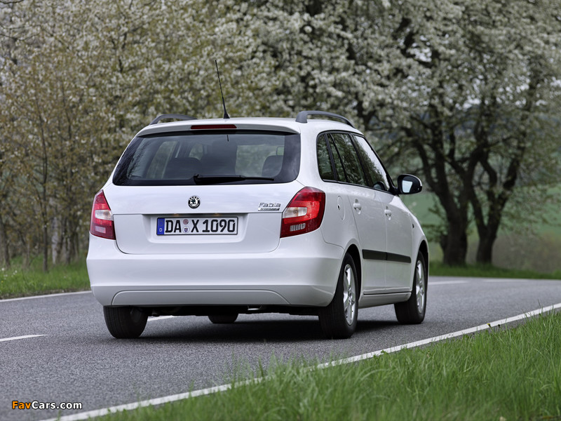 Škoda Fabia GreenLine Combi (5J) 2008–10 wallpapers (800 x 600)