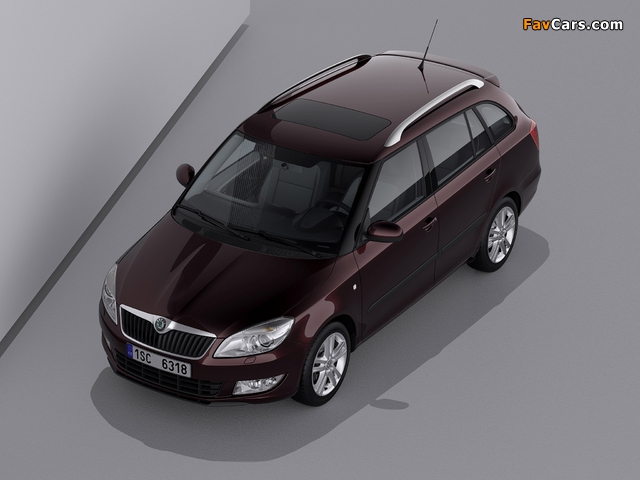 Škoda Fabia Combi (5J) 2010 wallpapers (640 x 480)