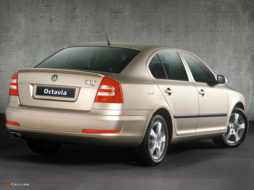 Images of Škoda Octavia Styling Package (1Z) 2004–08 (1024 x 768)