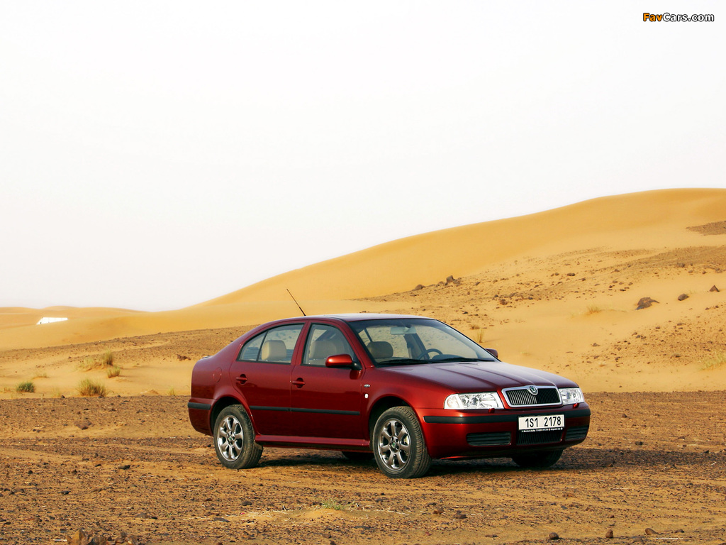 Pictures of Škoda Octavia (1U) 2000–10 (1024 x 768)