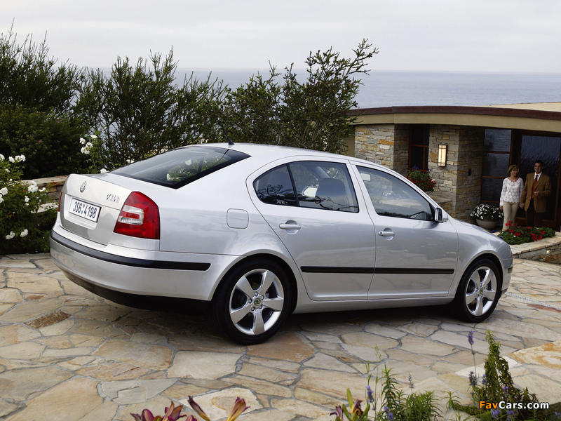 Pictures of Škoda Octavia (1Z) 2004–08 (800 x 600)