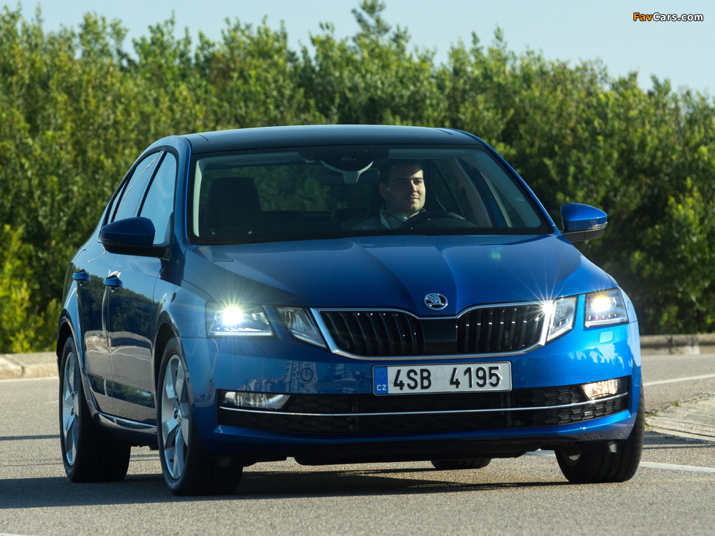 Škoda Octavia 4×4 (5E) 2017 images (1024 x 768)